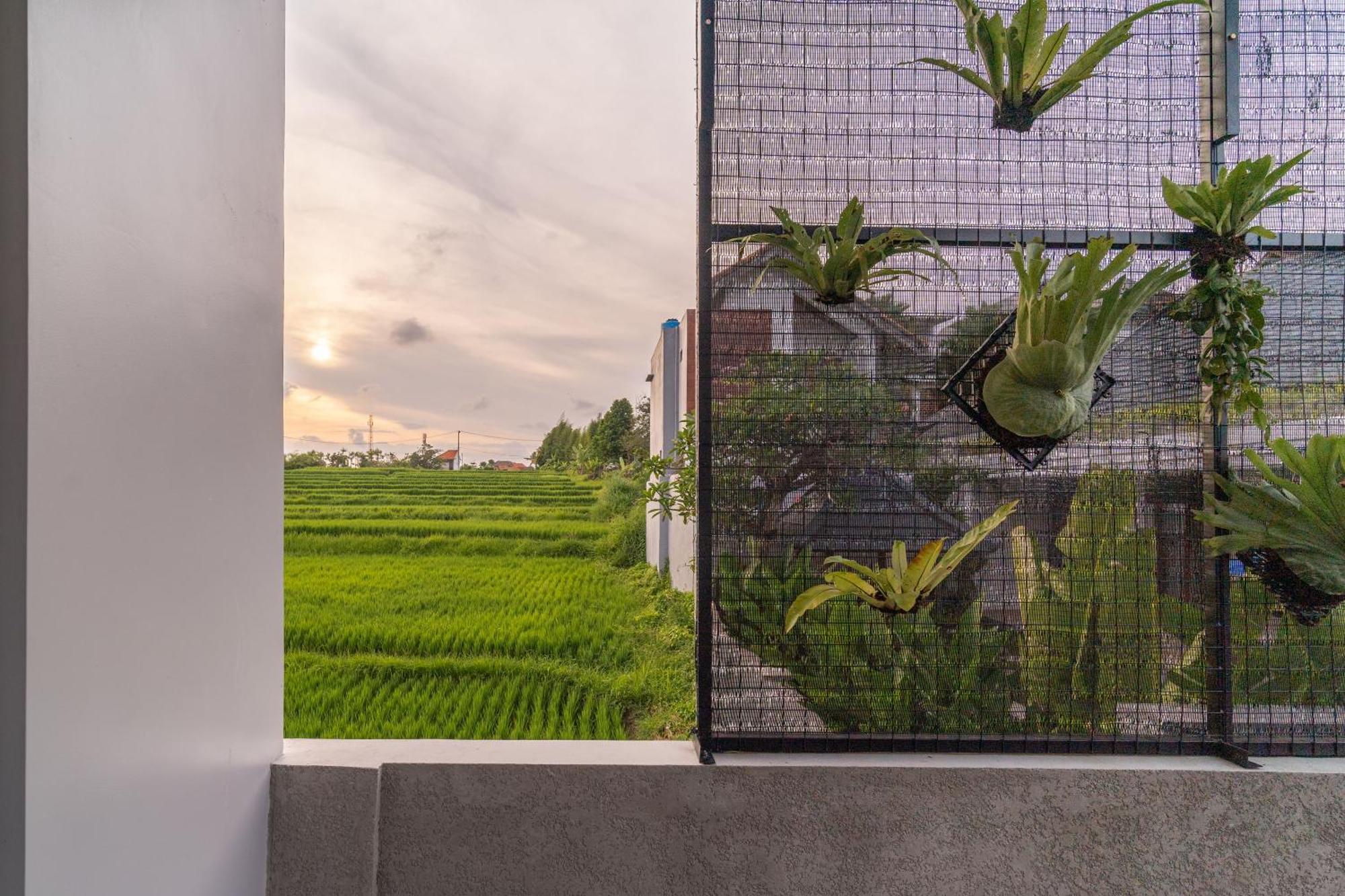 D'Macho Villas Ubud Eksteriør bilde